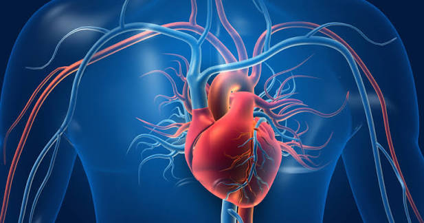 Cardiac surgery team in an operating room